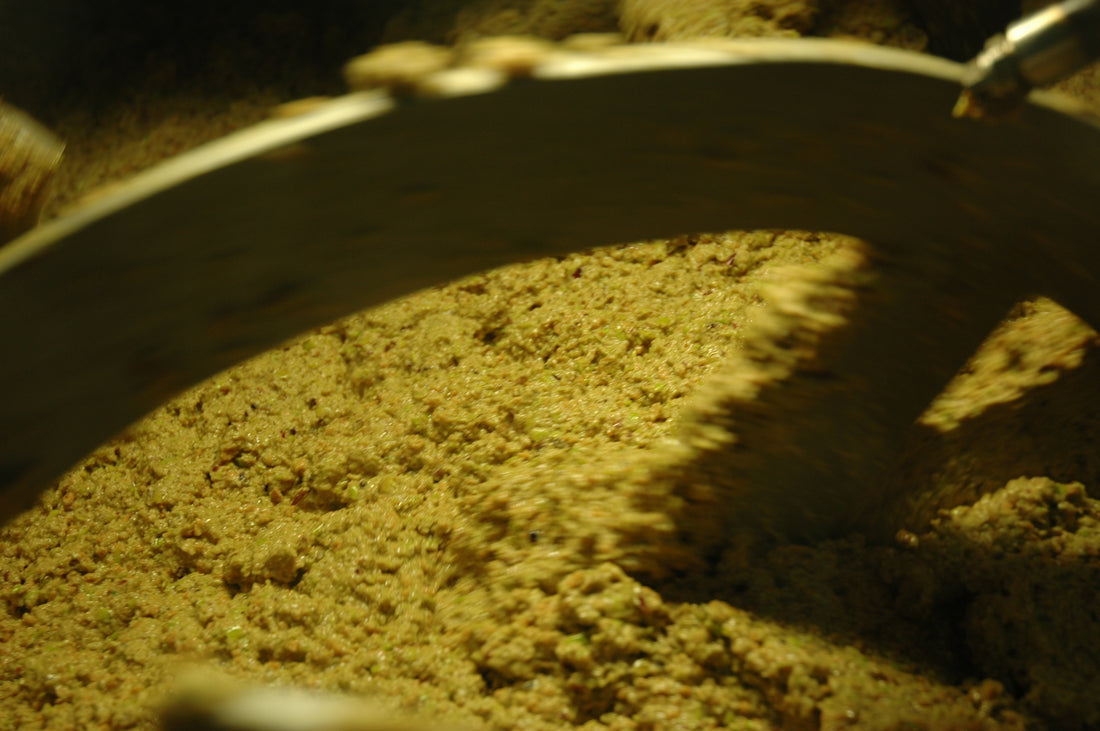 Pasta di olive durante la gramolatura — foto Iworkwithyou, Wikimedia Commons, CC BY-SA 3.0